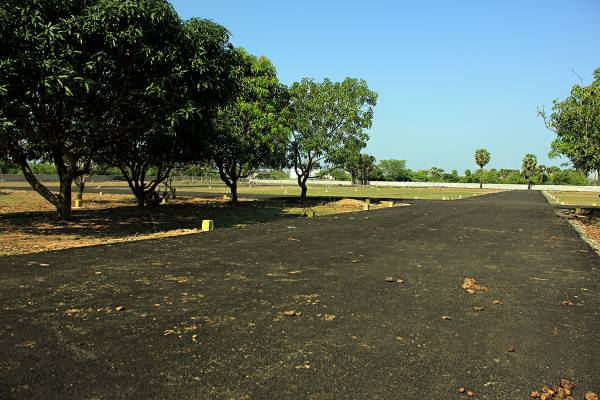 Images for Amenities of Arana Arana Enclave