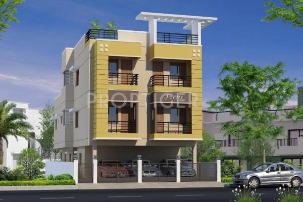 Images for Elevation of ACE Ferns