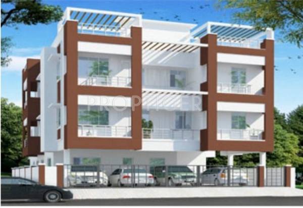 Images for Elevation of ACE Olive