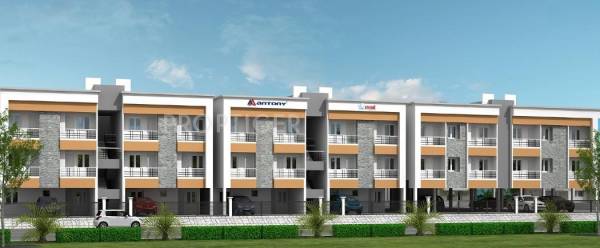 Antony Associates Trend