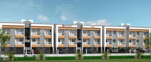 Antony Associates Trend Antony Associates Trend