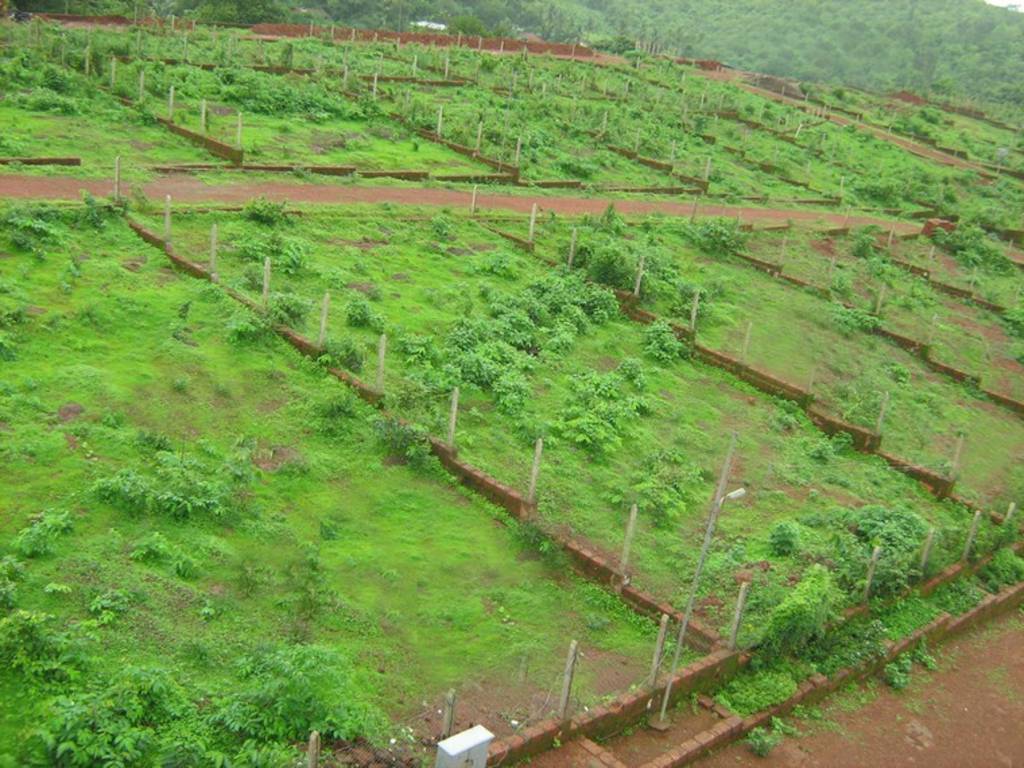 Images for Main Other of Gaurang Antarnad