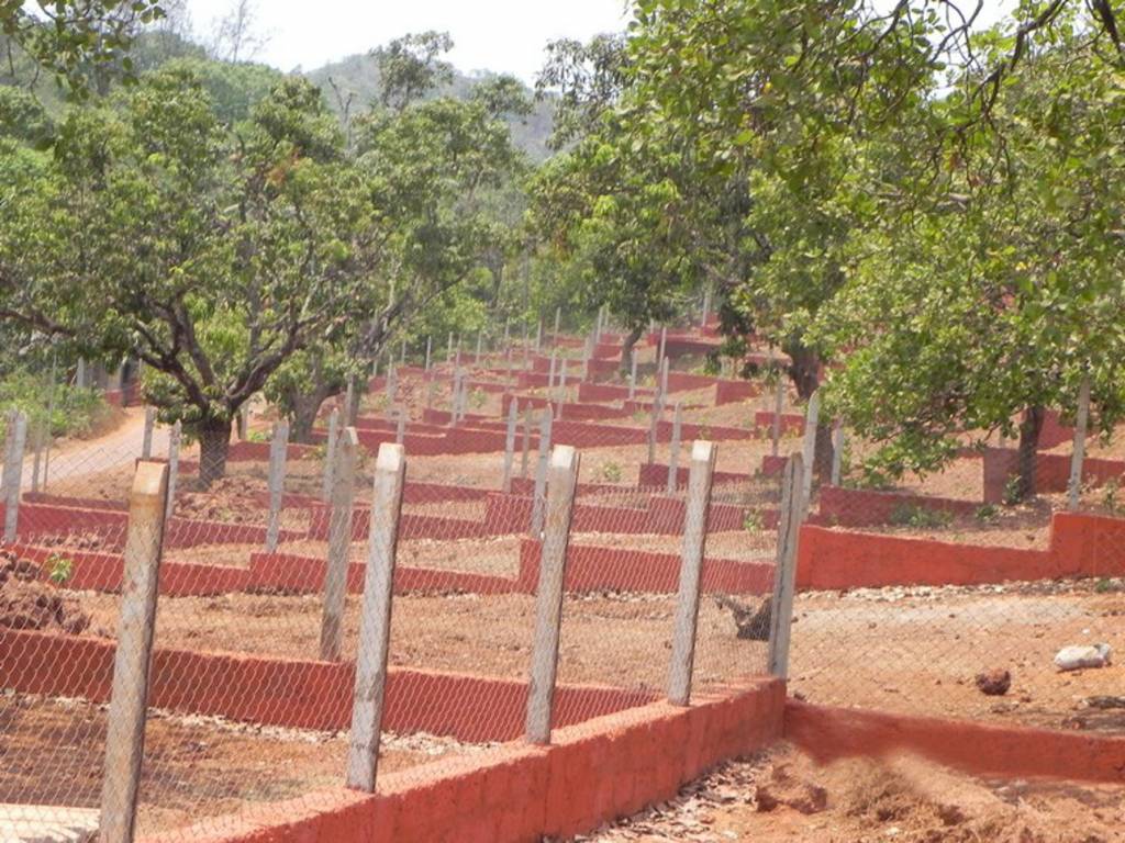 Images for Main Other of Gaurang Antarnad