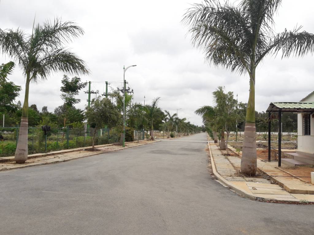  green square Images for Project