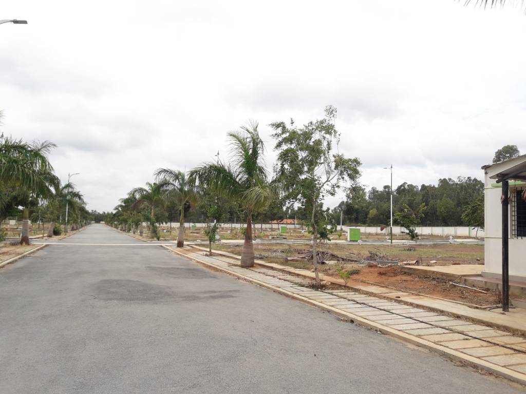  green square Images for Project