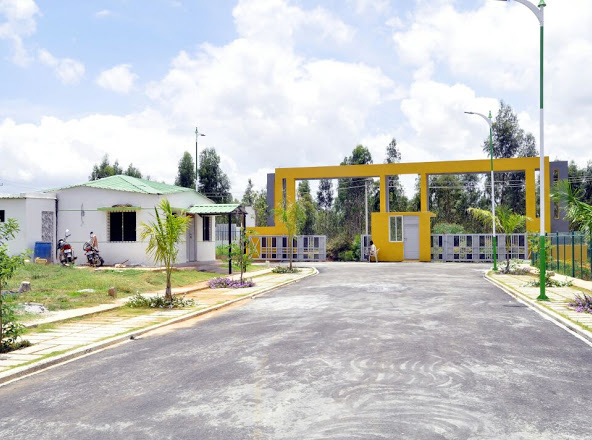  green square Images for Project