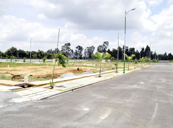  green square Images for Project