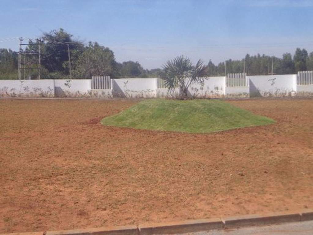  green square Images for Main Other of RM Green Square