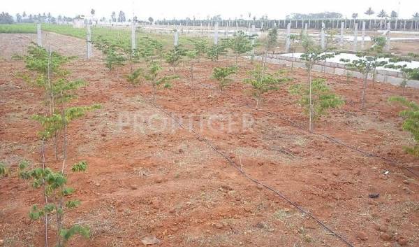 Images for Elevation of Stellar Homes Stellar Chaitya