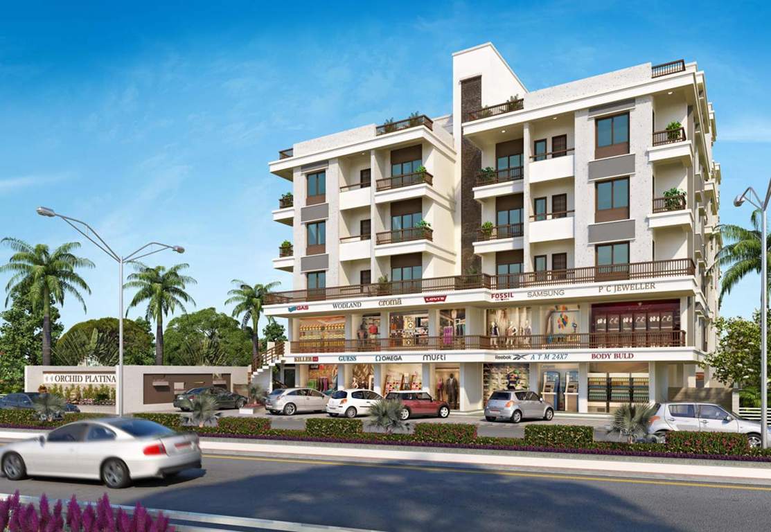  platina Images for Elevation of Orchid Platina