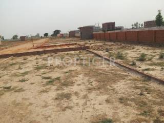 Project Image Project Image