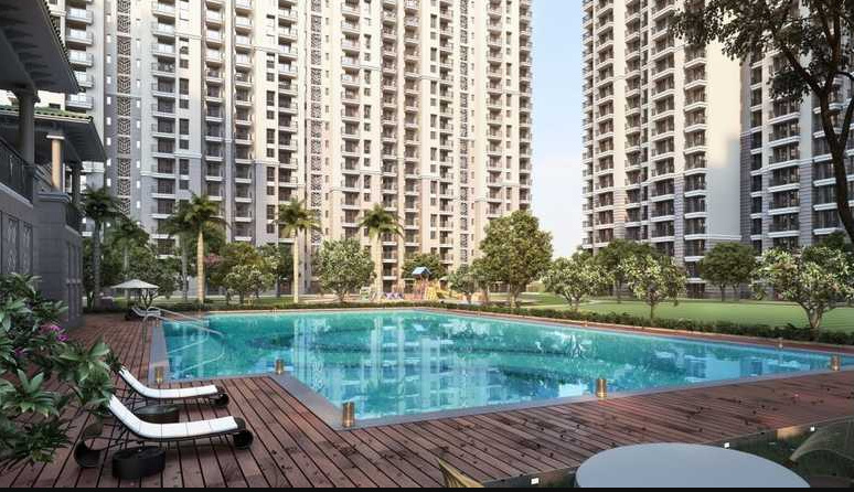 the hedges Swimming Pool