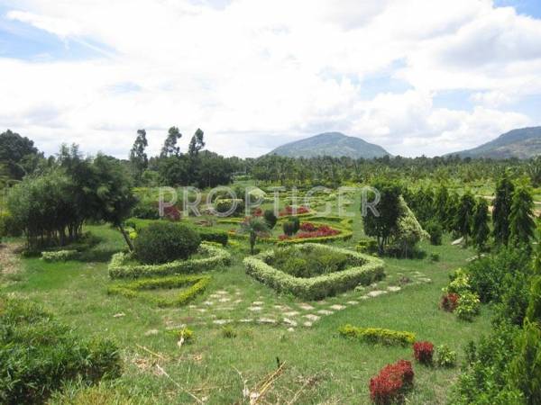 Images for Elevation of Regency Canterbury Castles Images for Elevation of Regency Canterbury Castles