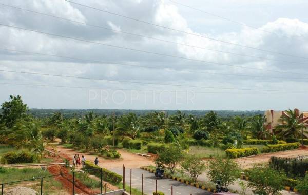 Images for Elevation of Regency Canterbury Castles Images for Elevation of Regency Canterbury Castles