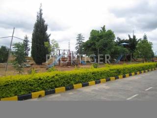 Project Image Project Image