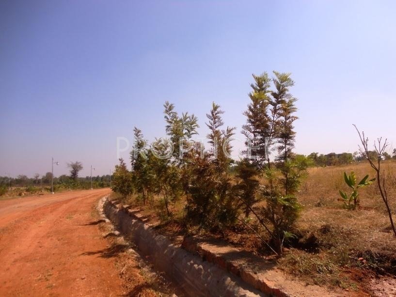 Images for Elevation of Blue Valley Smilee Views