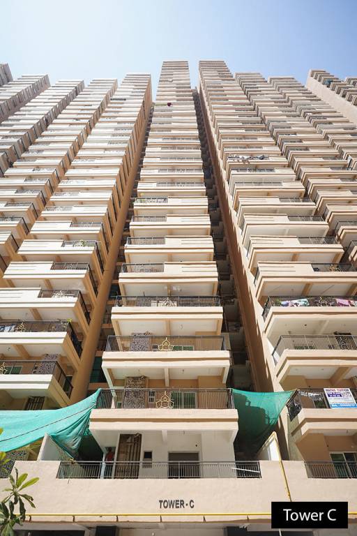  siddhartham Elevation