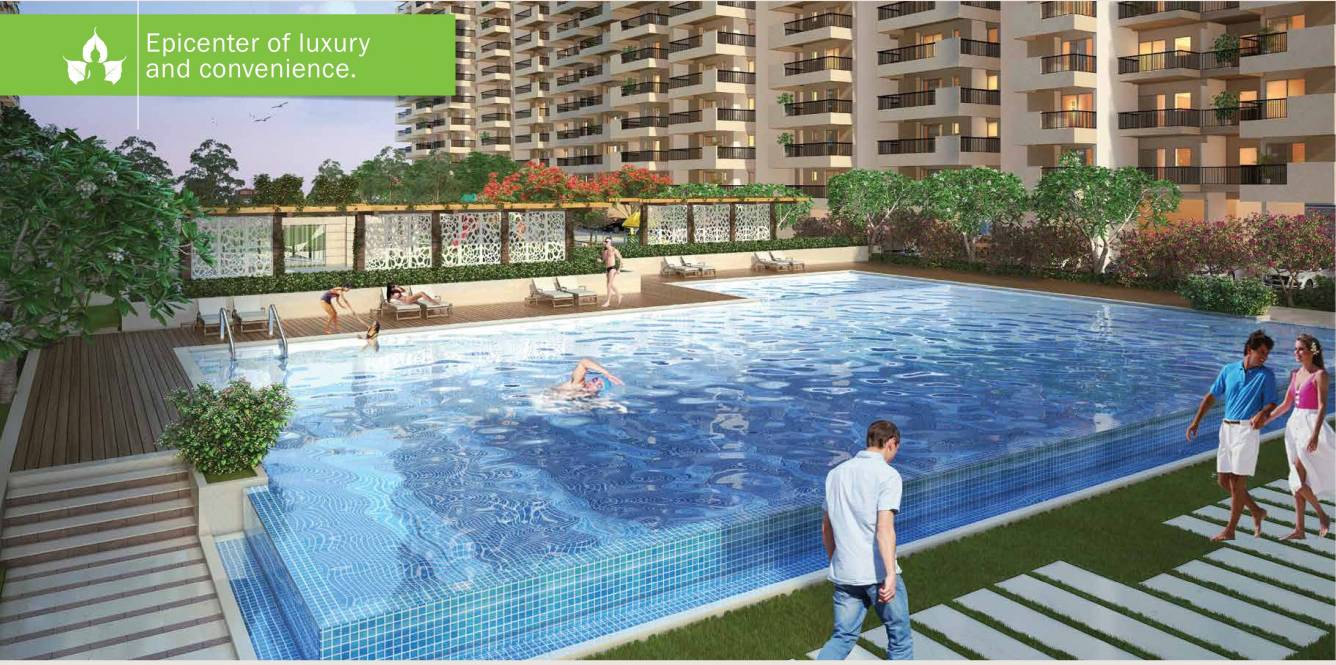  siddhartham Images for amenities