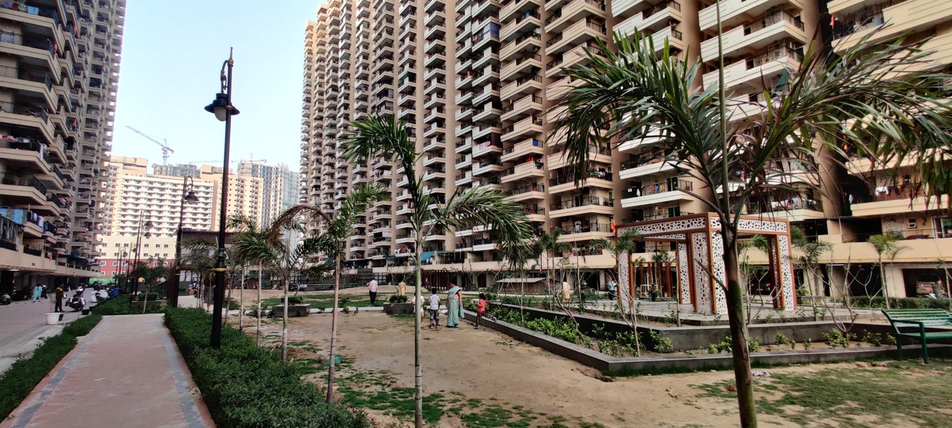  siddhartham Landscape Garden and Tree Planting