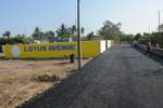 Lotus Avenue