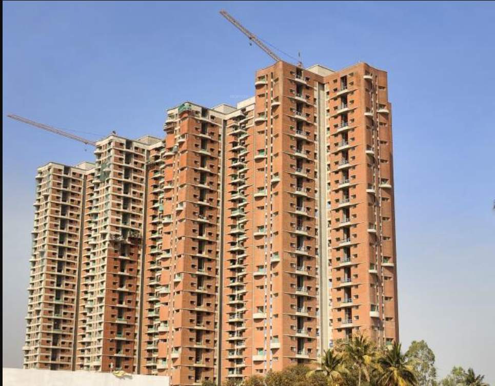 in that quiet earth Construction Status Feb 25