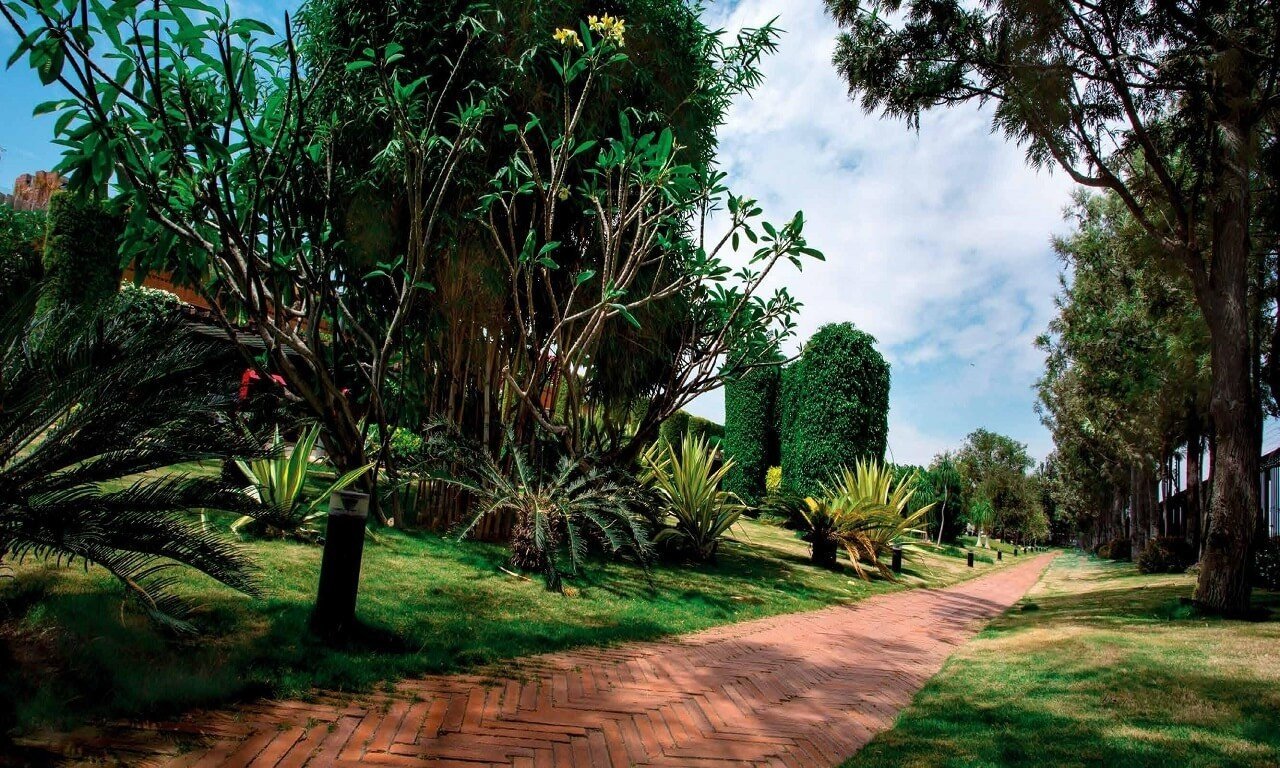 Total Environment In That Quiet Earth Phase 1