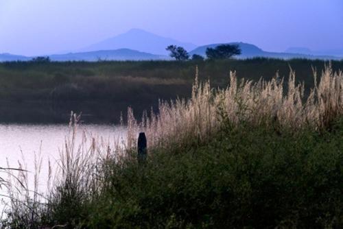 Images for Amenities of Clover Windermere windermere Images for Amenities of Clover Windermere