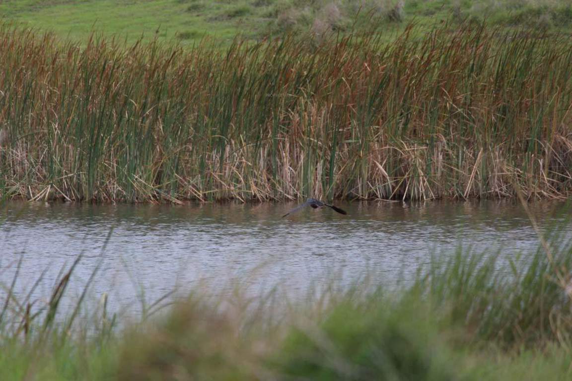  windermere Images for Amenities of Clover Windermere