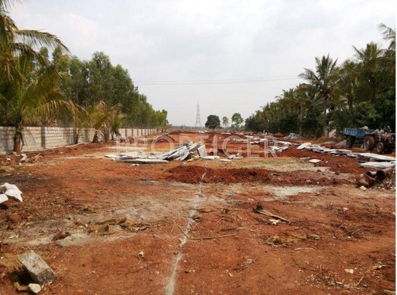 Images for Elevation of S And S Sri Hari Orchids