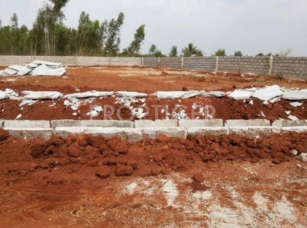 Images for Elevation of S And S Sri Hari Orchids