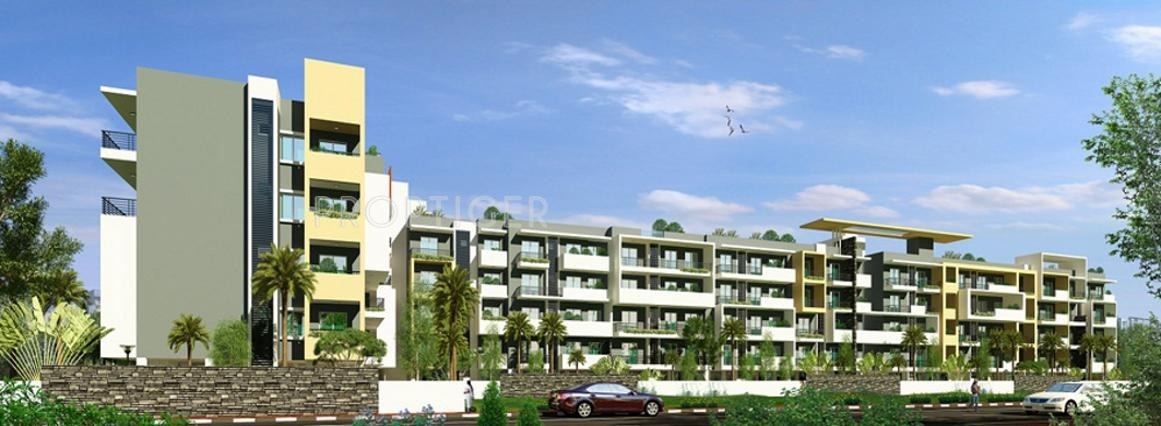 Images for Elevation of Eternity Ecstasy