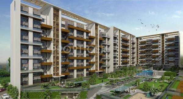 Images for Elevation of Lushlife The OVO Life