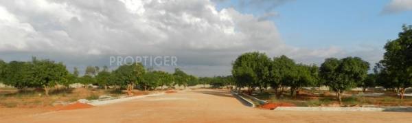 Sv Ventures Royal Claire Sv Ventures Royal Claire