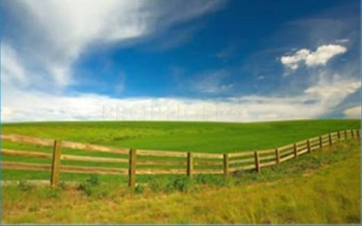 Images for Elevation of Taras Datri Palmfield