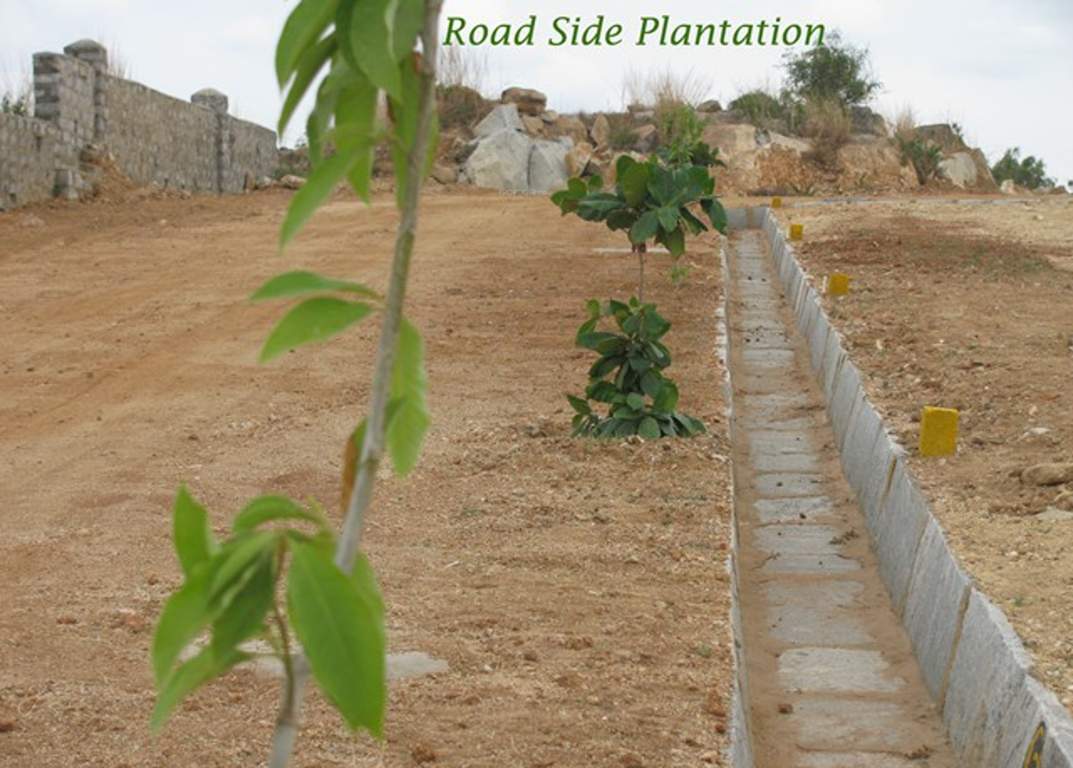 Images for Main Other of Bhagini Developers Srinivasa Nagara