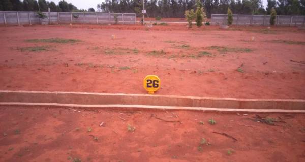 Images for Main Other of Sharanya Royal Garden