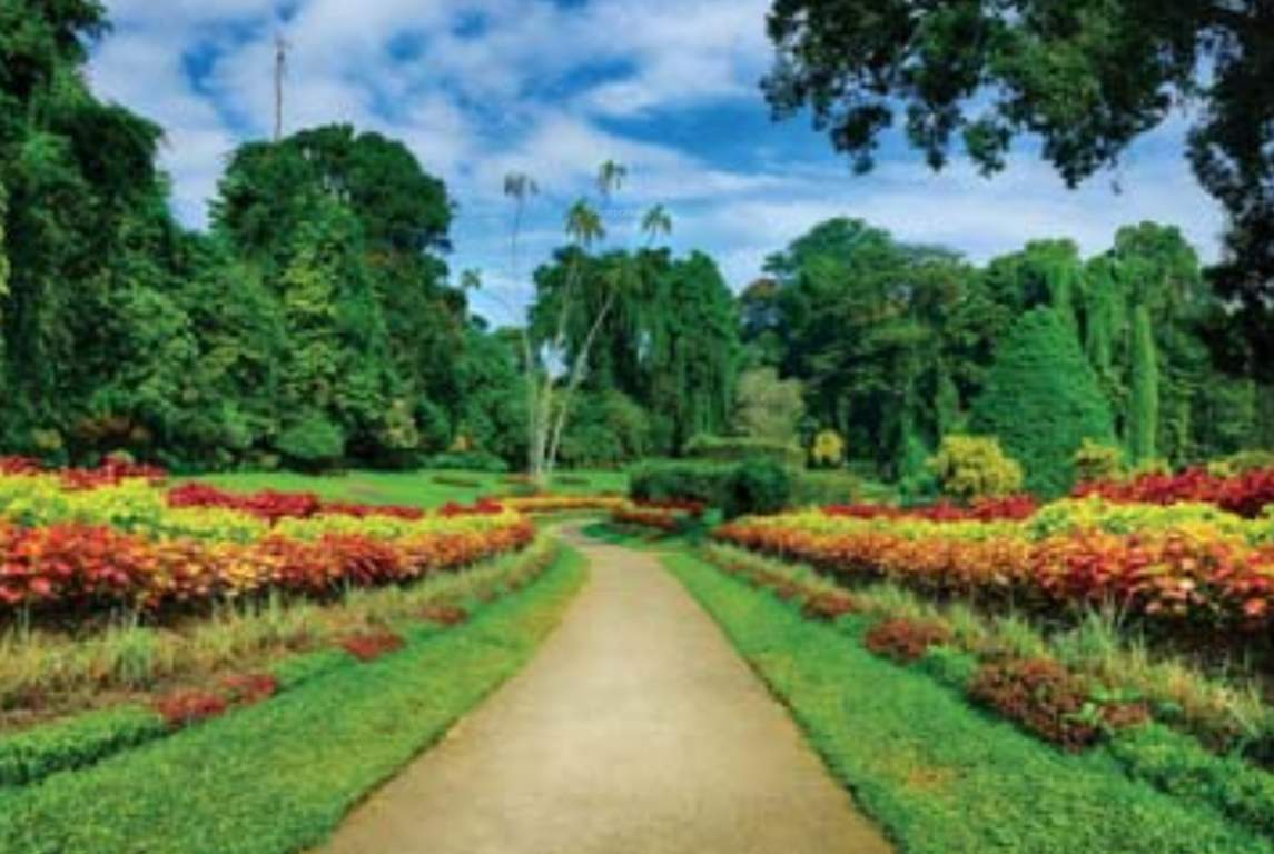 Images for Amenities of Horizon Concept Stupendous Luxury Apartment