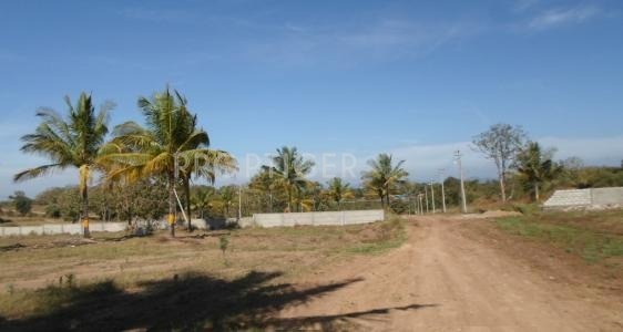 Images for Elevation of Vsan Sancity Diamond Images for Elevation of Vsan Sancity Diamond