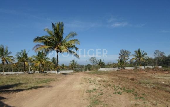 Images for Elevation of Vsan Sancity Diamond