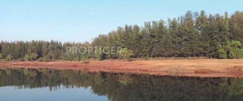 Images for Elevation of Synergy Casuarina