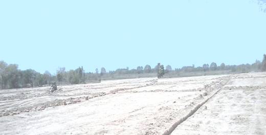 Images for Elevation of Shine Green Paradise