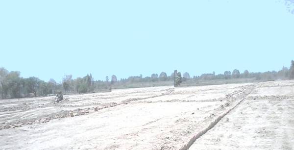 Images for Elevation of Shine Green Paradise