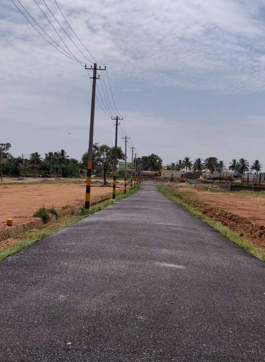  nature residency Elevation