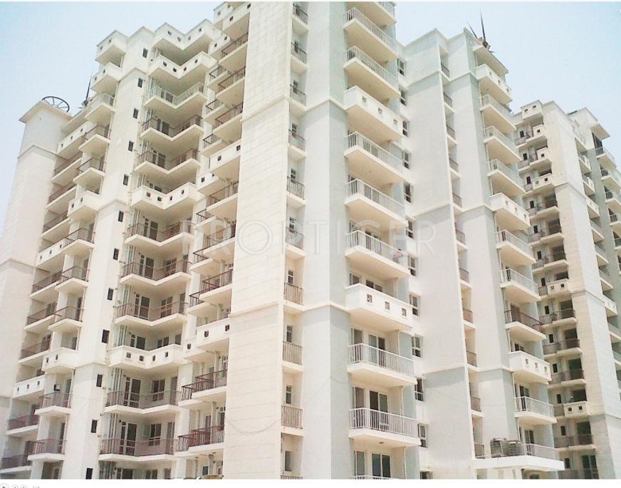 Images for Elevation of Value Meadows Vista2