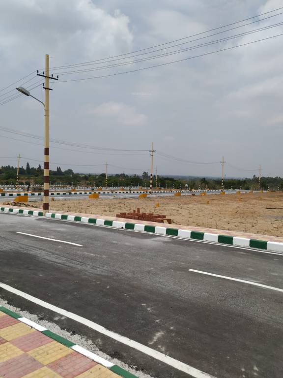 Images for mainOther