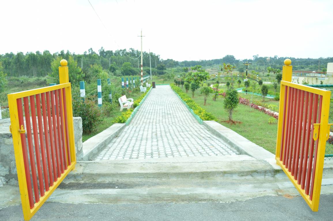 Images for mainOther