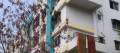Shree Siddhi Developer pune Sankalp