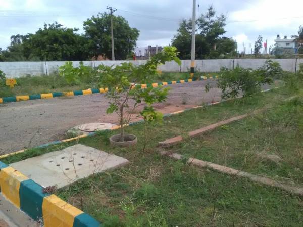 Images for Main Other of Moksha Mandara Arcadia Images for Main Other of Moksha Mandara Arcadia