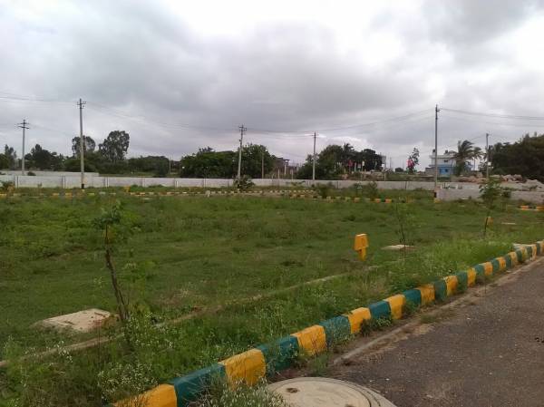 Images for Main Other of Moksha Mandara Arcadia Images for Main Other of Moksha Mandara Arcadia