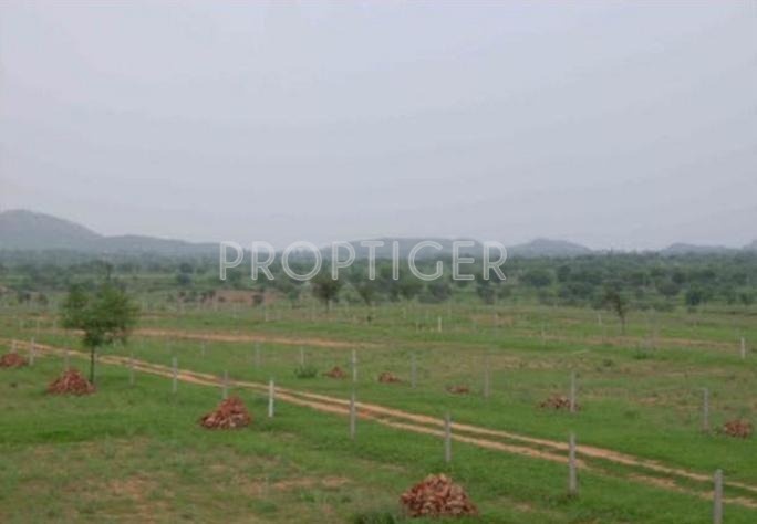 Images for Elevation of Smilee Nisarga Images for Elevation of Smilee Nisarga